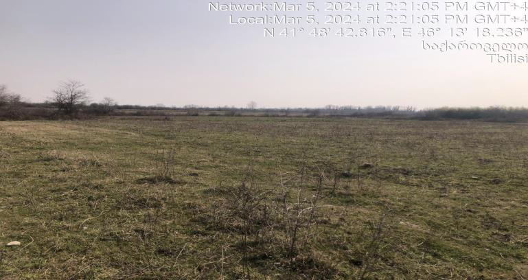 სასოფლო-სამეურნეო მიწის ნაკვეთი, რაიონი ლაგოდეხი, სოფელი გურგენიანი