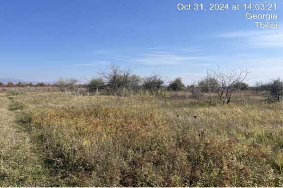 სასოფლო-სამეურნეო მიწის ნაკვეთი, მუნიციპალიტეტი გორი, სოფელი ქვემო ნიქოზი