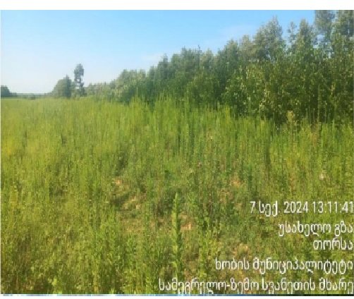 სასოფლო-სამეურნეო (სახნავი) მიწის ნაკვეთი, მუნიციპალიტეტი ხობი, ადმინისტრაციული ერთეული ხამისკური, ბლოკი 039, ნაკვეთი 289
