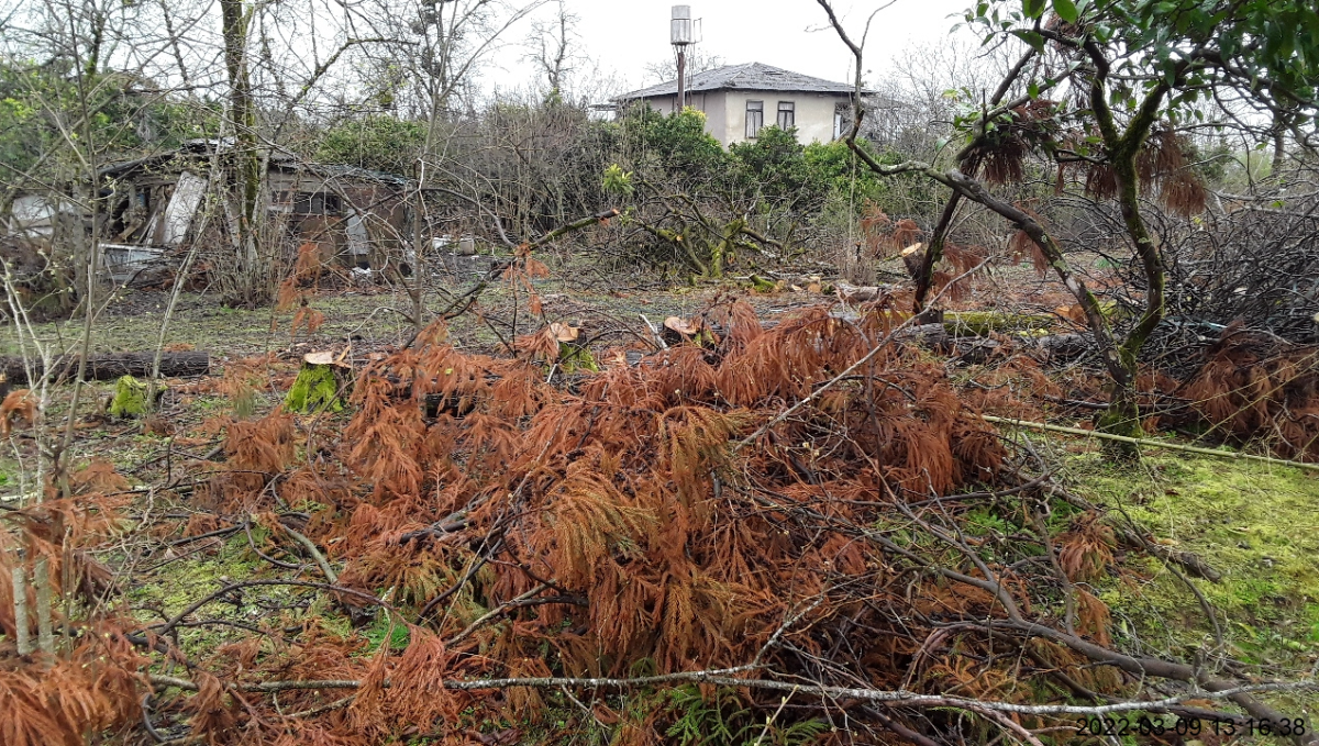 სასოფლო-სამეურნეო (სახნავი) მიწის ნაკვეთი, ზუგდიდის მუნიციპალიტეტი, სოფელი ჯუმი