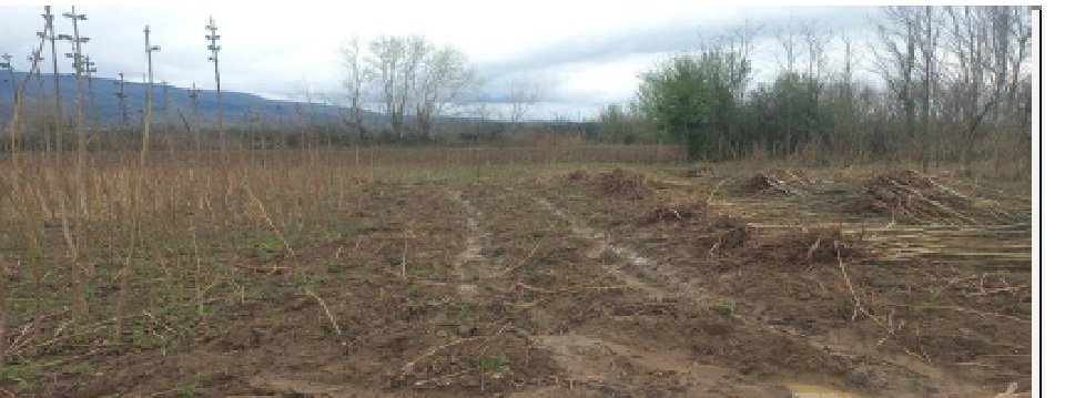 სასოფლო-სამეურნეო (სახნავი) მიწის ნაკვეთი, სენაკის მუნიციპალიტეტი, სოფელი ნოსირი