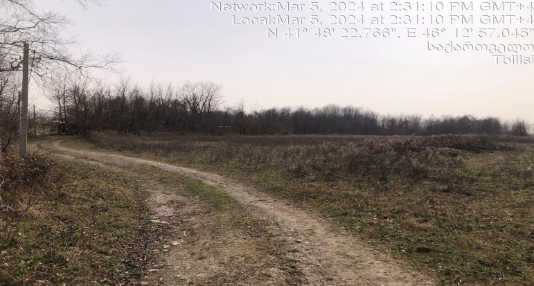 სასოფლო-სამეურნეო მიწის ნაკვეთი, რაიონი ლაგოდეხი, სოფელი განათლება