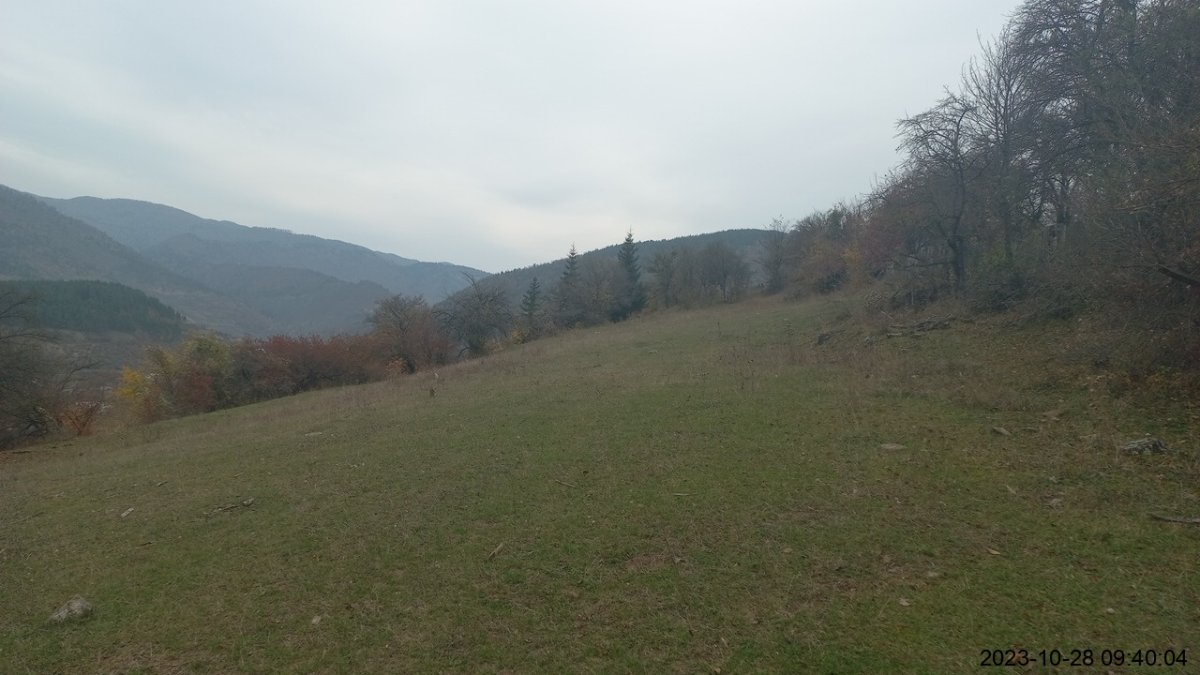 სასოფლო-სამეურნეო მიწის ნაკვეთი, მუნიციპალიტეტი ბორჯომი, სოფელი ყვიბისი