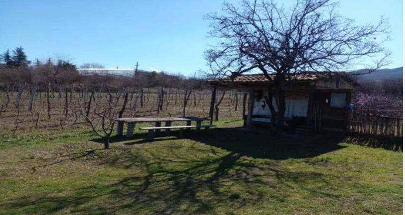 სასოფლო-სამეურნეო (სახნავი) მიწის ნაკვეთი, მუნიციპალიტეტი გურჯანი, ადმინისტრაციული ერთეული კარდენახი, ნაკვეთი N298