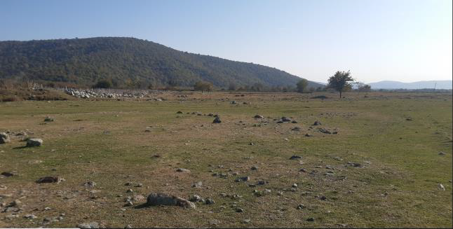 სასოფლო-სამეურნეო (სახნავი) მიწის ნაკვეთი, ლაგოდეხის მუნიციპალიტეტი, სოფელი განჯალა