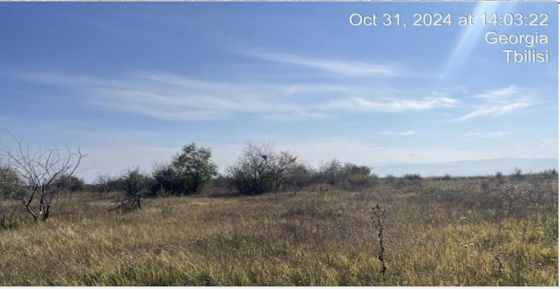 სასოფლო-სამეურნეო (საკარმიდამო) მიწის ნაკვეთი შენობით, მუნიციპალიტეტი გორი, სოფელი ქვემო ნიქოზი