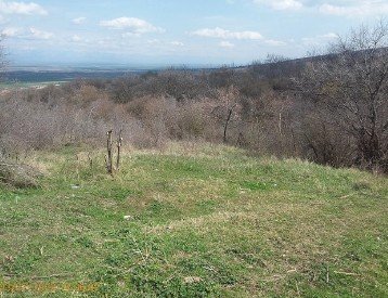 სასოფლო-სამეურნეო (საკარმიდამო) მიწის ნაკვეთი, მუნიციპალიტეტი სიღნაღი, სოფელი ძველი ანაგა